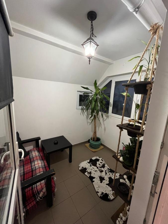 Apartamento O Mansarda Intima :) - The Intimate Attic :) Bragadiru Exterior foto